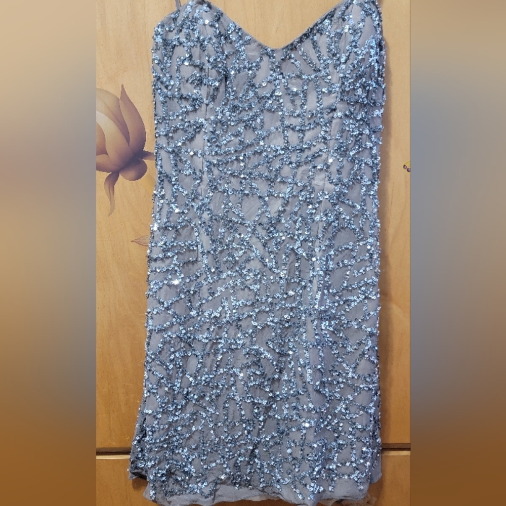 Scala Silk Sequins dress